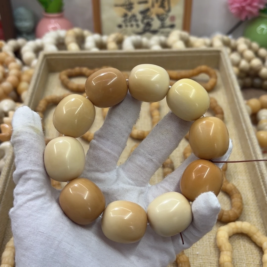 吊坠菩提根/象牙果26干磨微瑕牙果多宝枣福利511