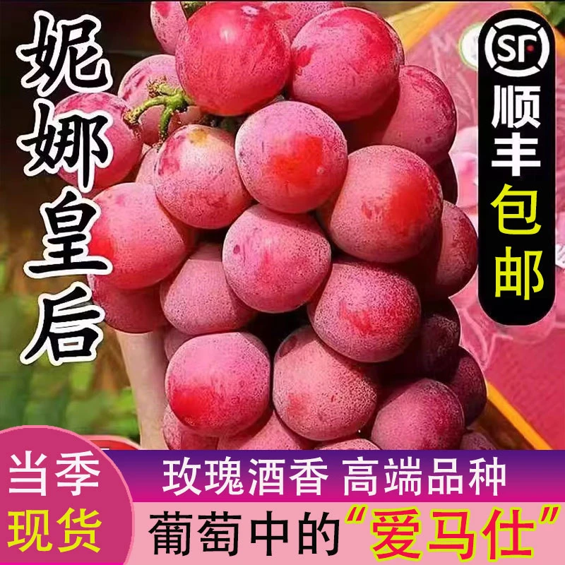 【顺丰现货】妮娜皇后葡萄当季新鲜水果1-4斤红提子纯甜无酸