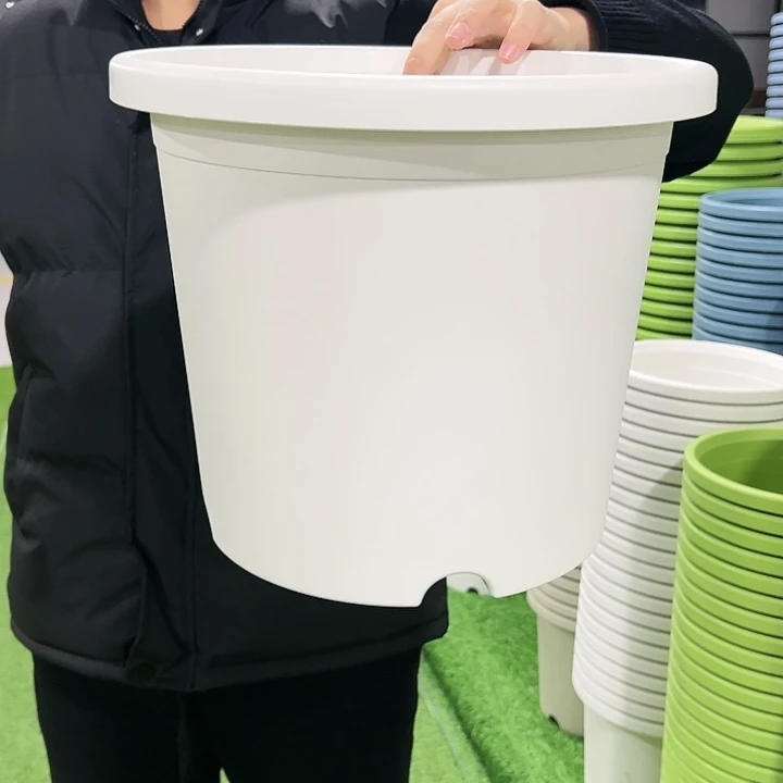 P***H特价6号口32高27.7白色7只无托