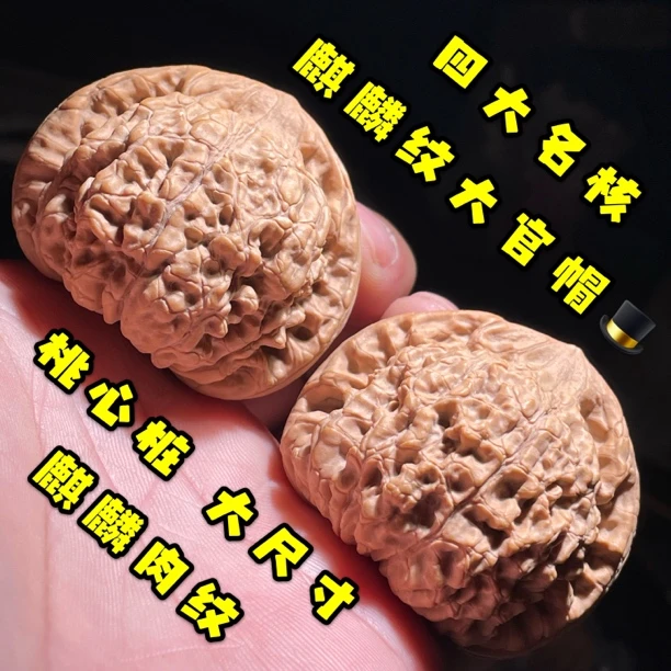 老树麒麟纹核桃大官帽文玩核桃把件