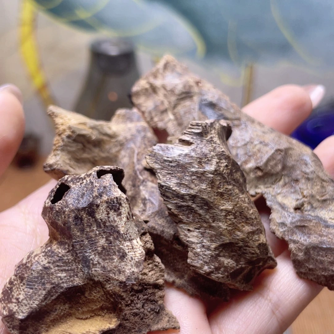 香榧木海南保亭包壳10g