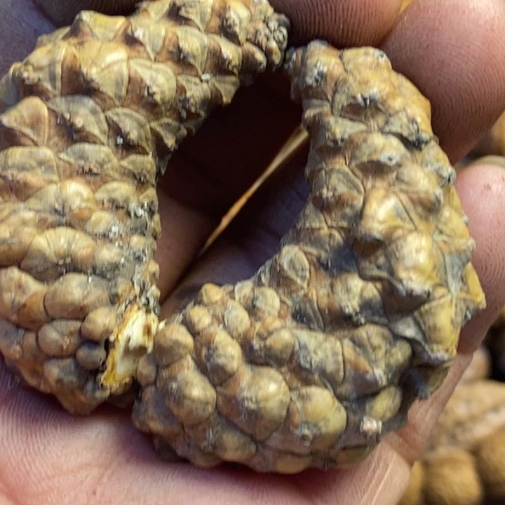 文玩核桃吊坠东北特产165