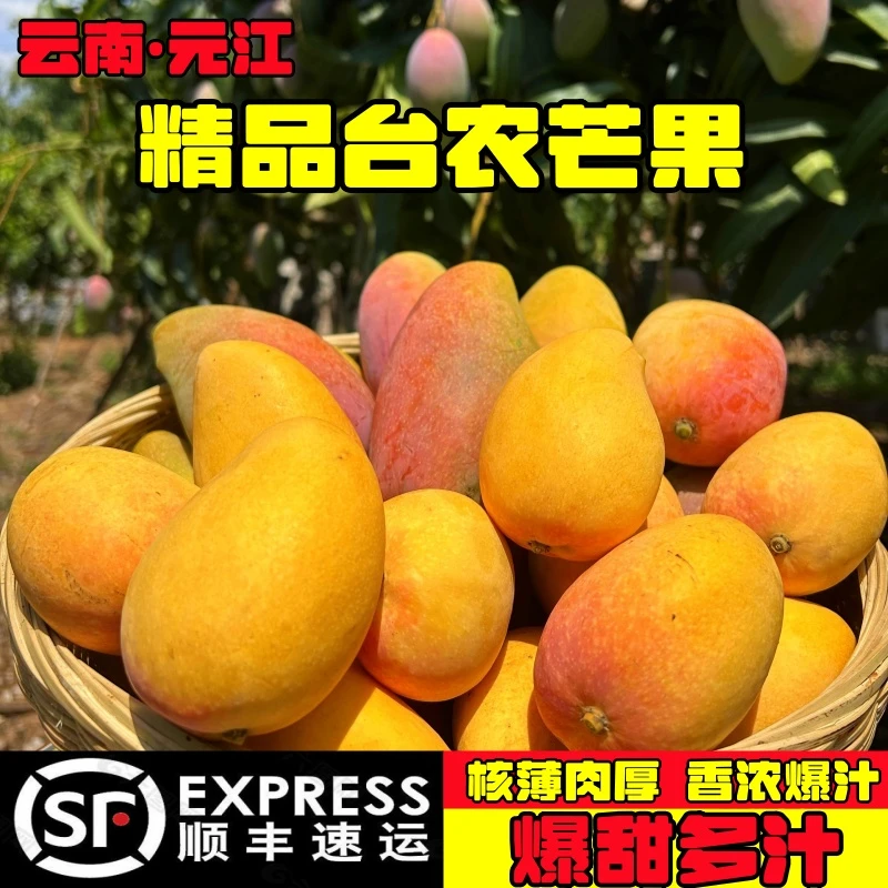 【顺丰包邮】云南农产品元江新鲜水果台农芒果香甜多汁当季台芒整箱