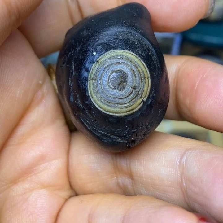 外蒙眼睛石售出不退不换