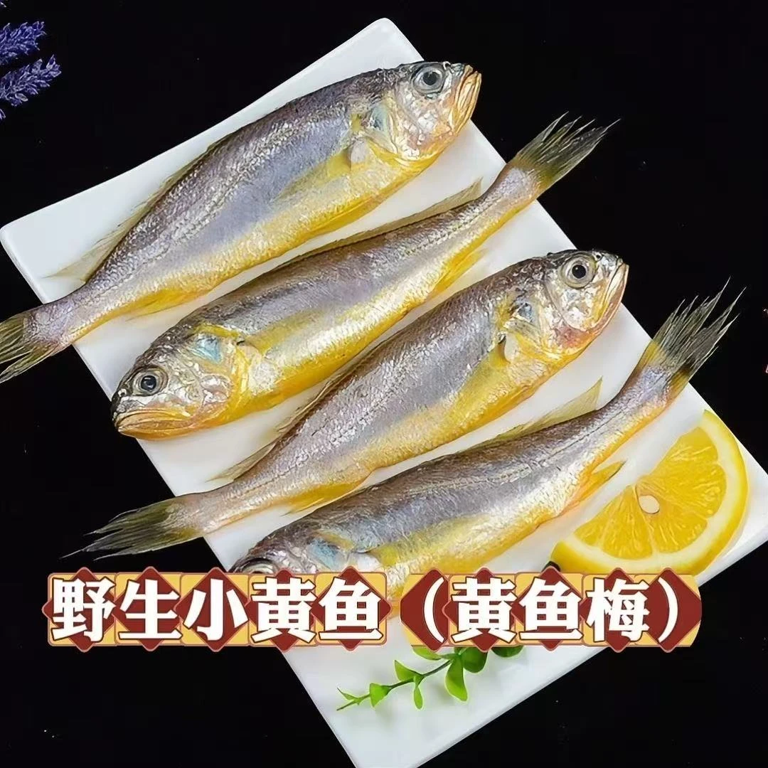 舟山纯野生小黄鱼 净重3斤