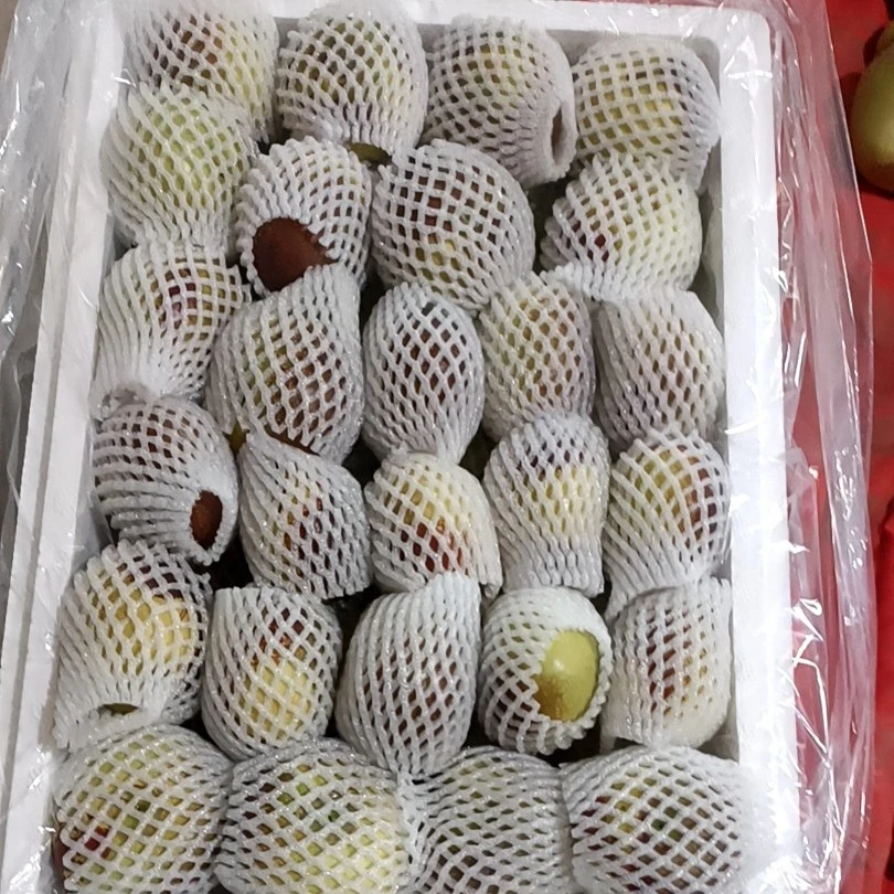 冬蟠粹枣，新鲜现摘脆甜多汁基地直发大枣