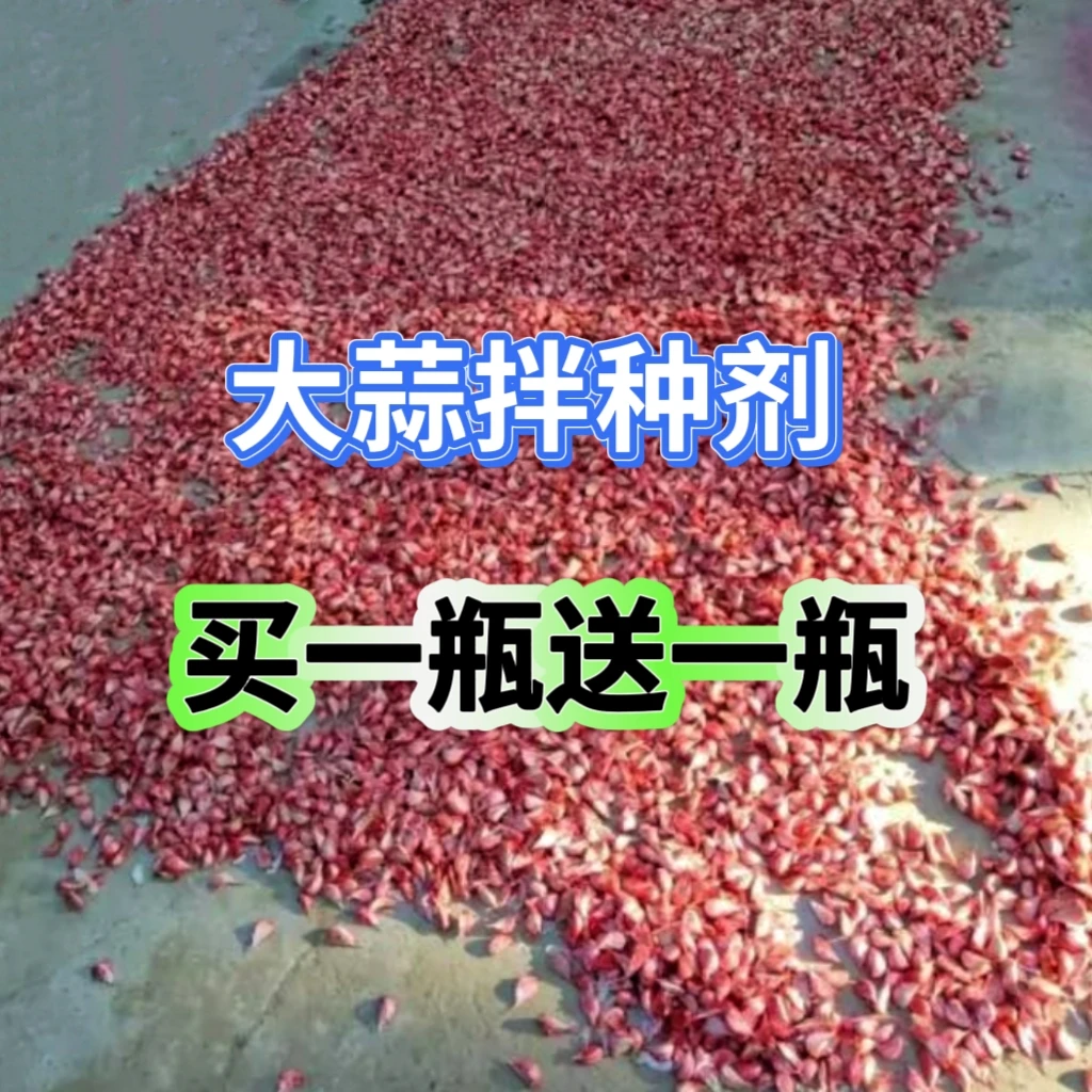 买一送一大蒜伴种大蒜包衣剂正品叶面肥