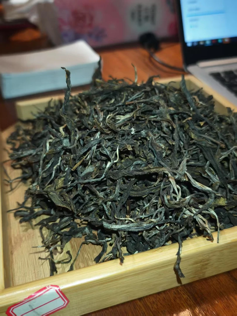 普洱茶2024邦东大雪山散