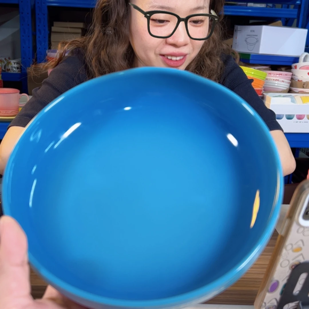 陶瓷轻虹海军蓝盘子