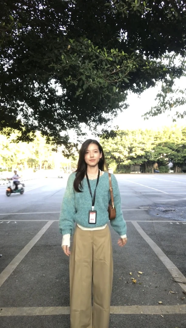 2025秋冬新款韩系慵懒松弛感V领套头毛衣女高级感针织上衣阔腿裤