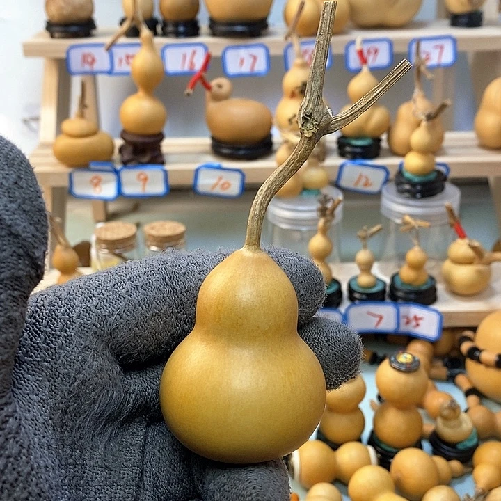 _*_直播间手把小葫芦