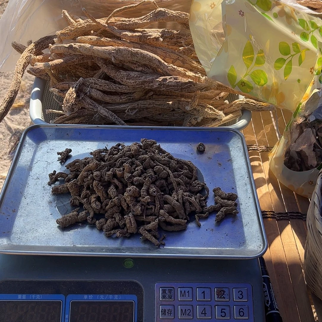 中国大陆巴哥泡酒