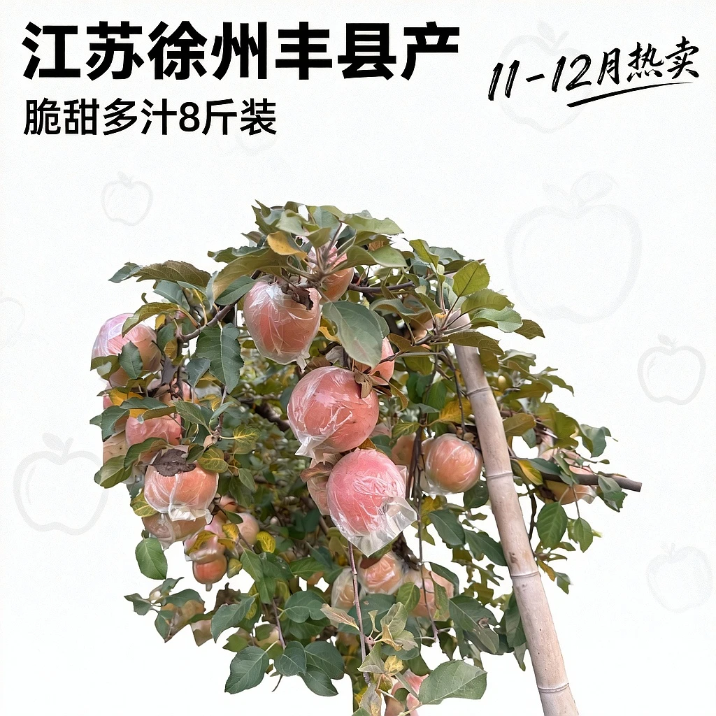 丰县大沙河红富士丑苹果8斤脆甜多汁