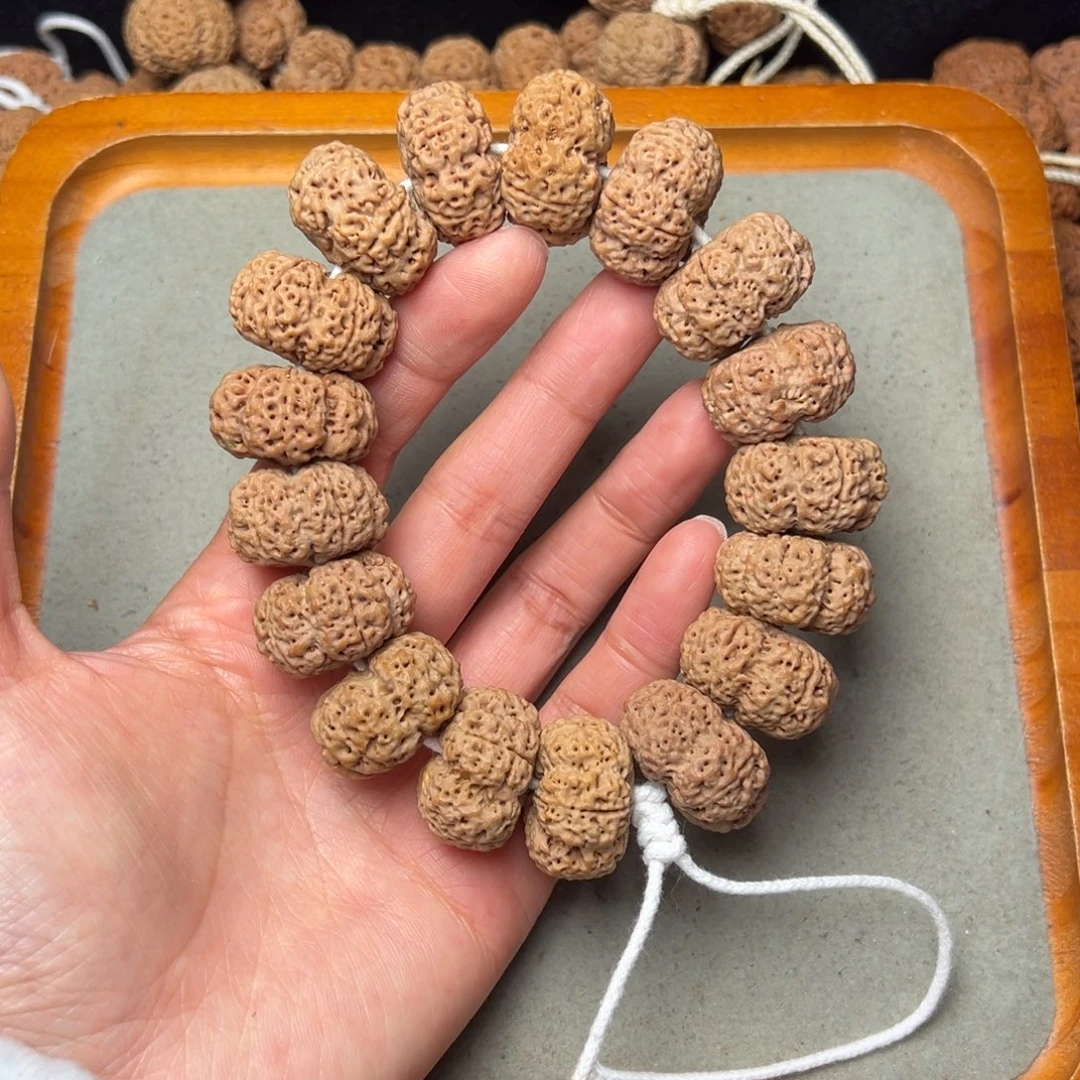 菩提16号金刚菩提爆肉梅花夹板25