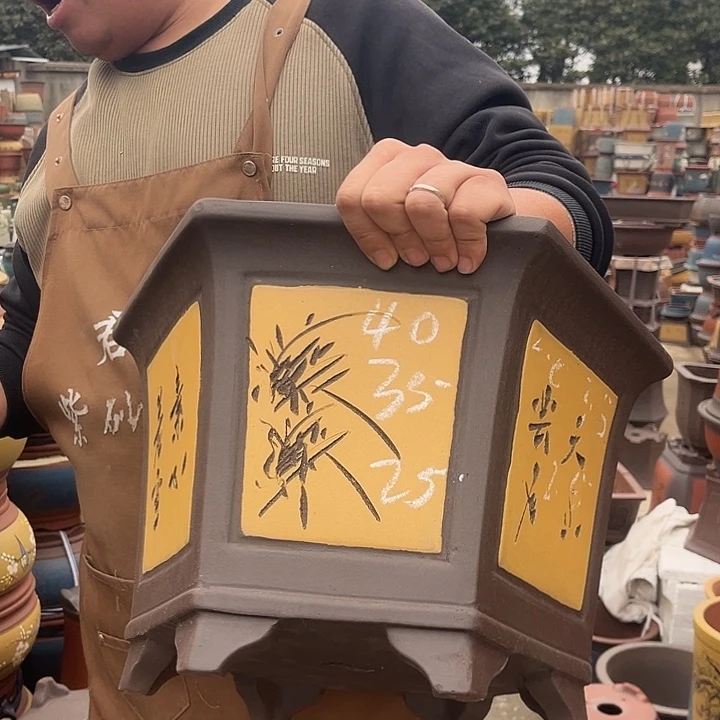 紫砂紫砂花盆盆栽