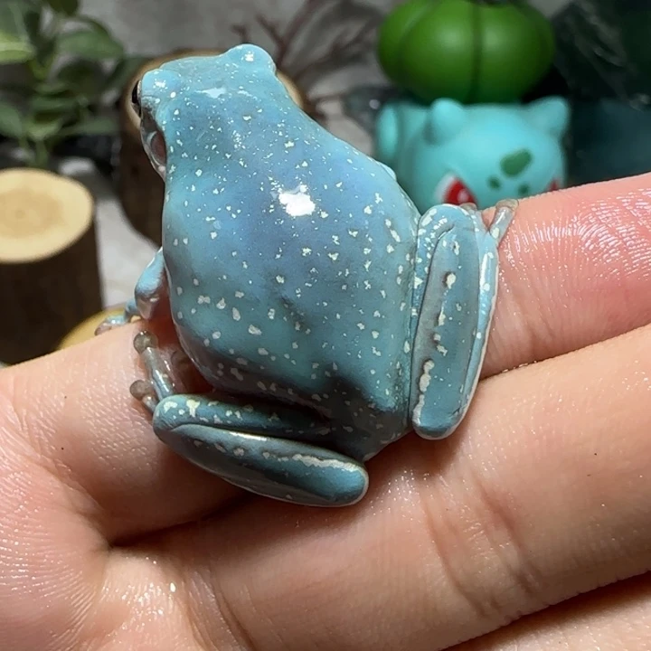 老爷树蛙5 魔鬼蓝微雪