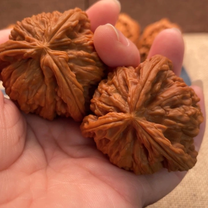 物***。核桃白狮子45核桃