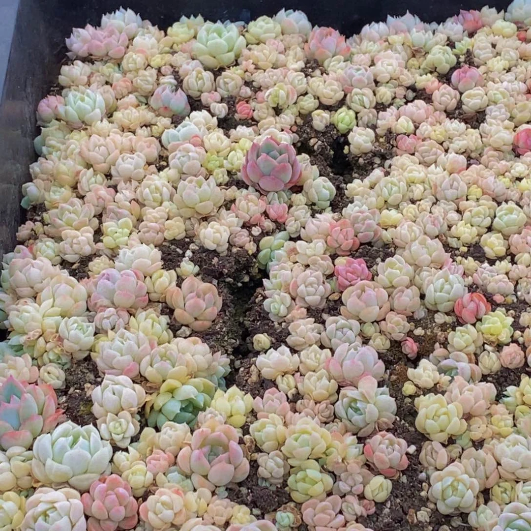 765的人在一起的时候就会