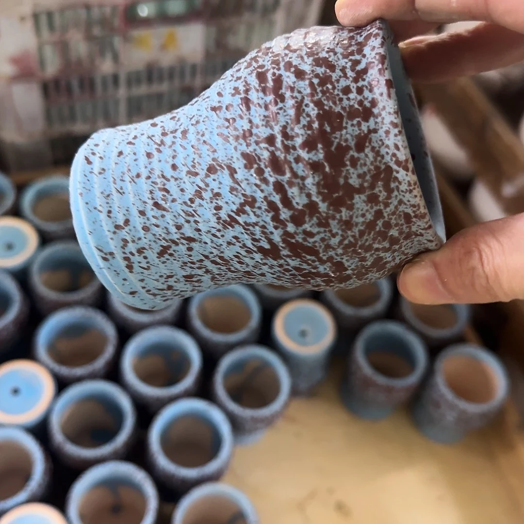 福利局绿植多肉盆［凑9元包邮24小时发］