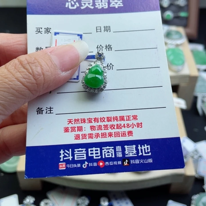 翡翠银S925镶嵌颈饰o**s