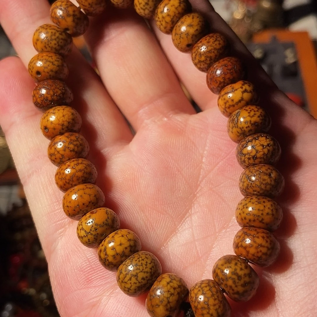 菩提根/象牙果手串原生态奶油黄老星月手串