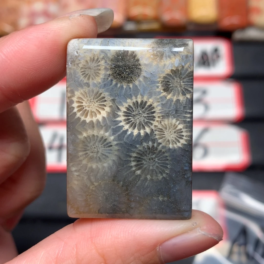 【闪购商品】未镶嵌颈饰硅化玉森**火