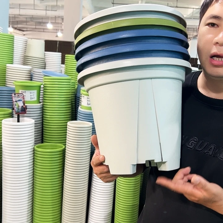 正品青山口32高28灰白色5个无托