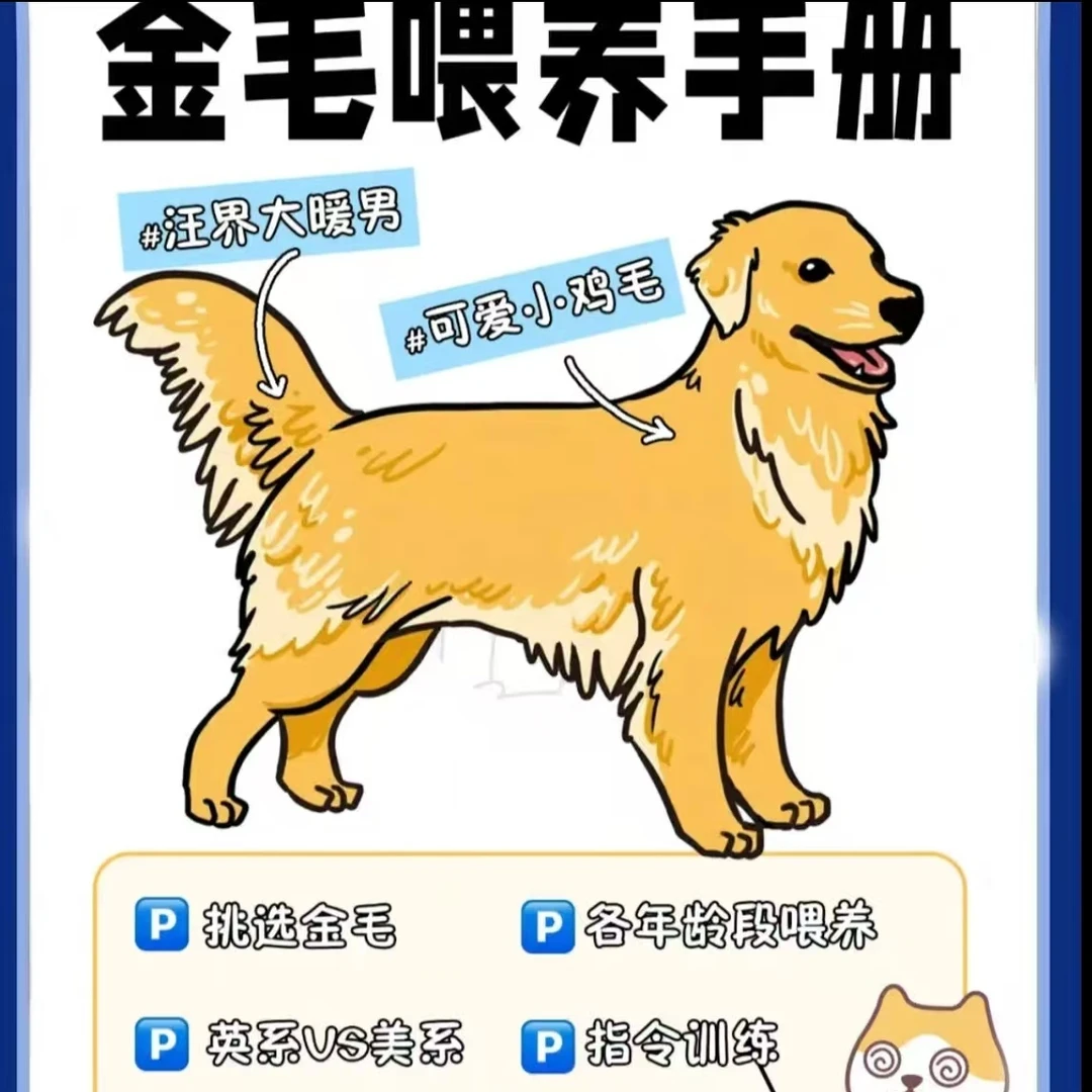 阿东教你如何挑选狗狗