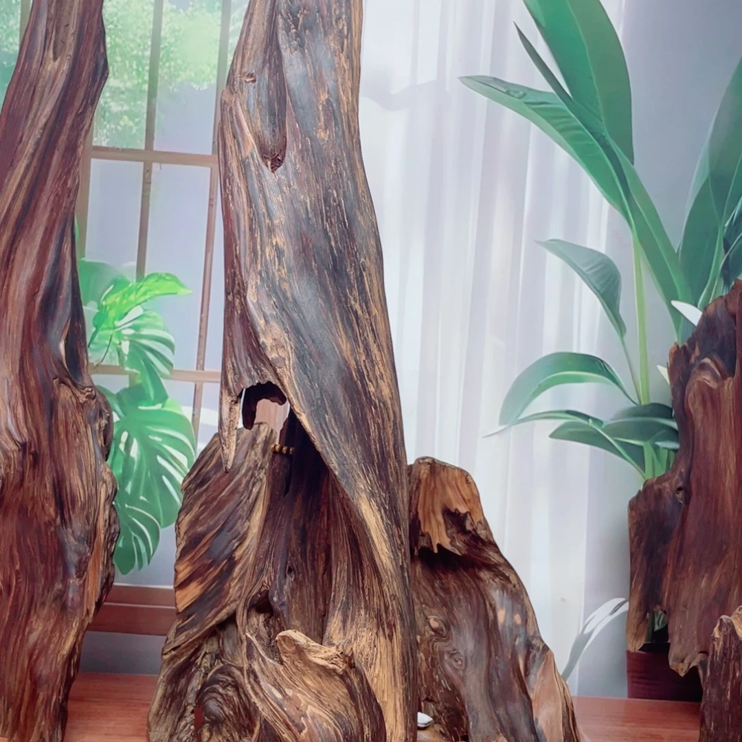 廣***龍你目的名优木兰狠厉我乐了