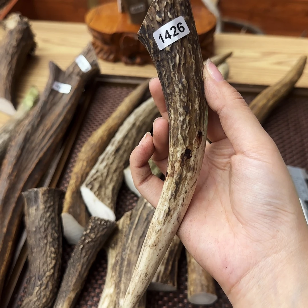 鹿骨手串/手链1426梅花鹿尖