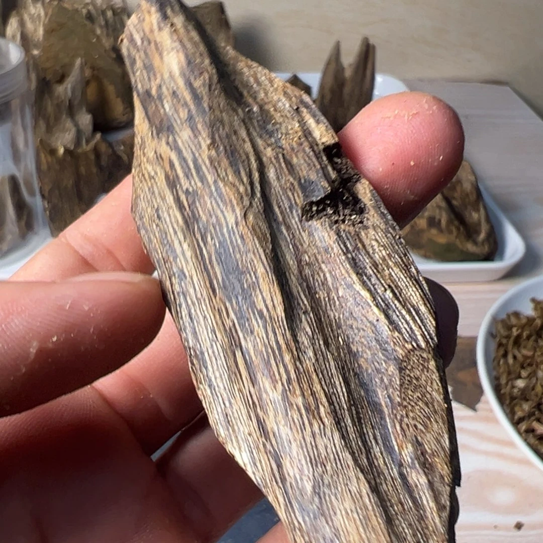 沉香碎屑沉香黑珍珠16克