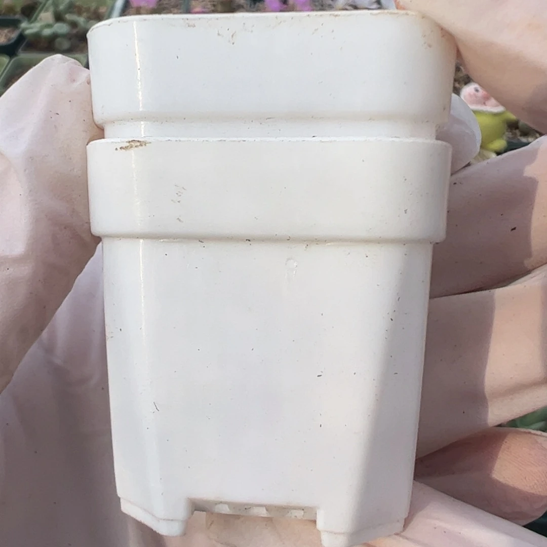 箱箱箱箱箱箱箱箱箱箱