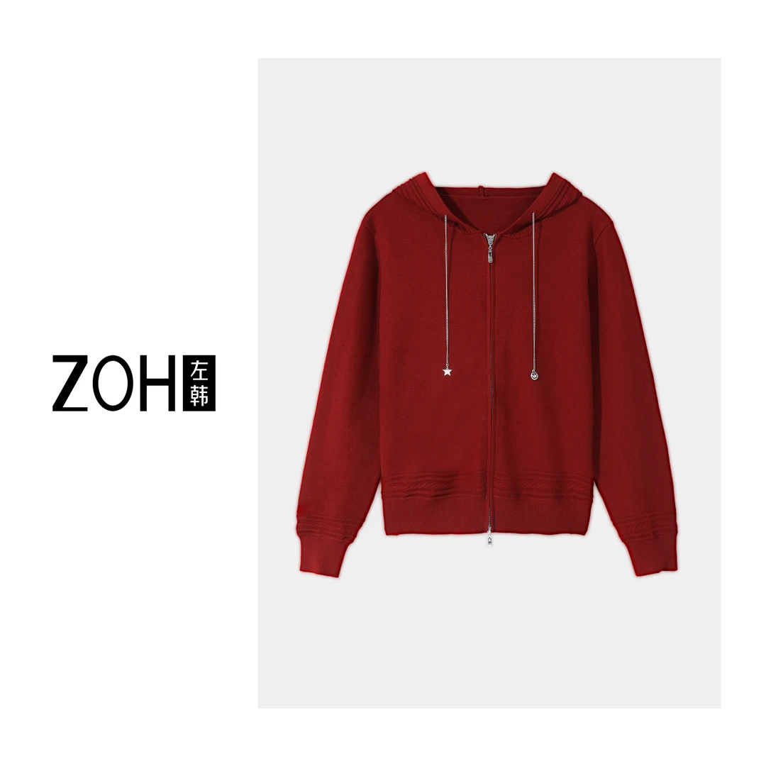 左韩-抽绳简约拉链设计师连帽长袖时髦毛衣针织衫纯色洋气上衣女