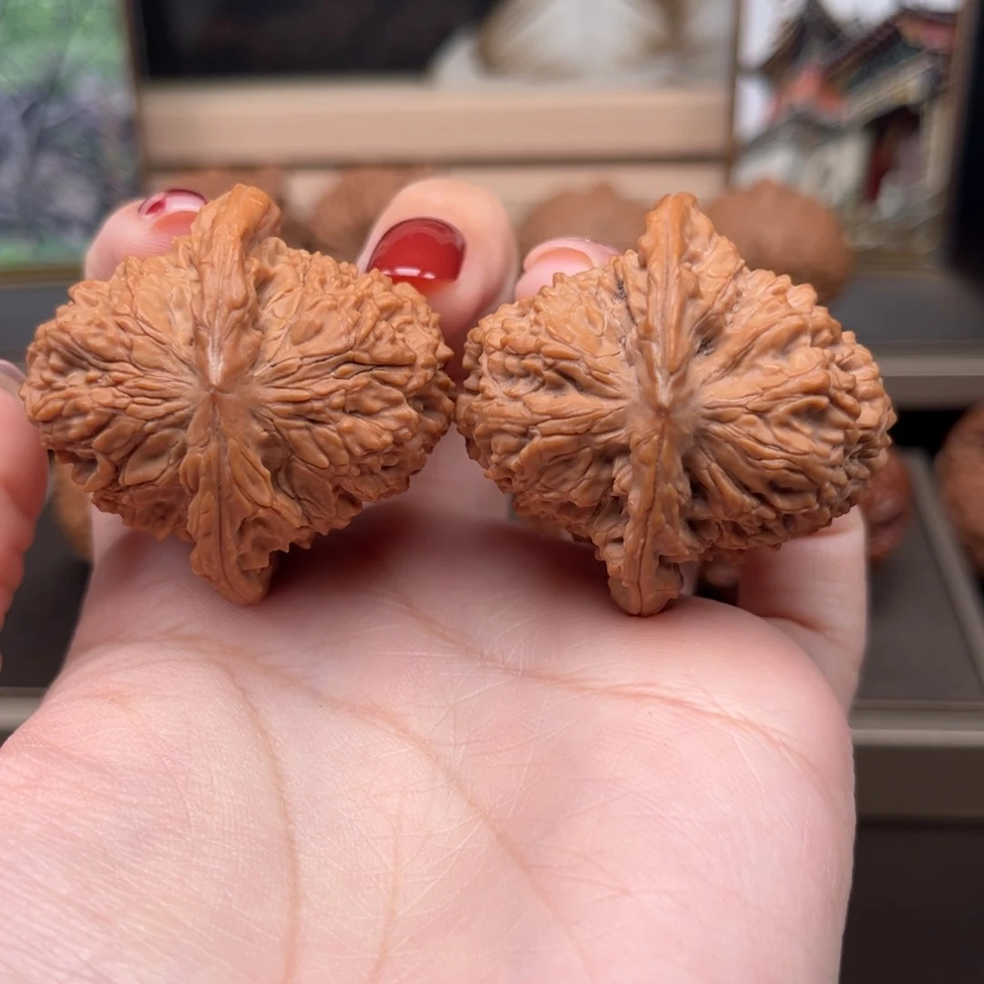 桃核把件平谷白云寺野生马蹄全品