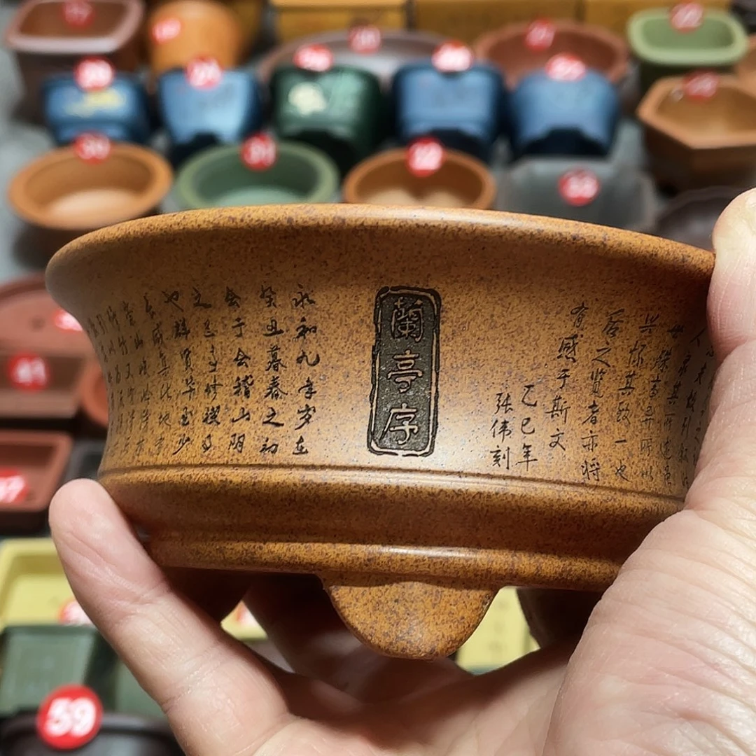 紫砂小盆11*4.5cmmmm