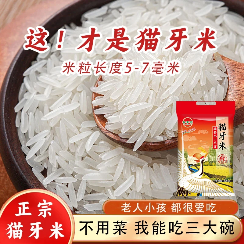 绿宝贡生态丝苗米优质长粒香猫牙米南方特产软糯煮饭大米独立包装