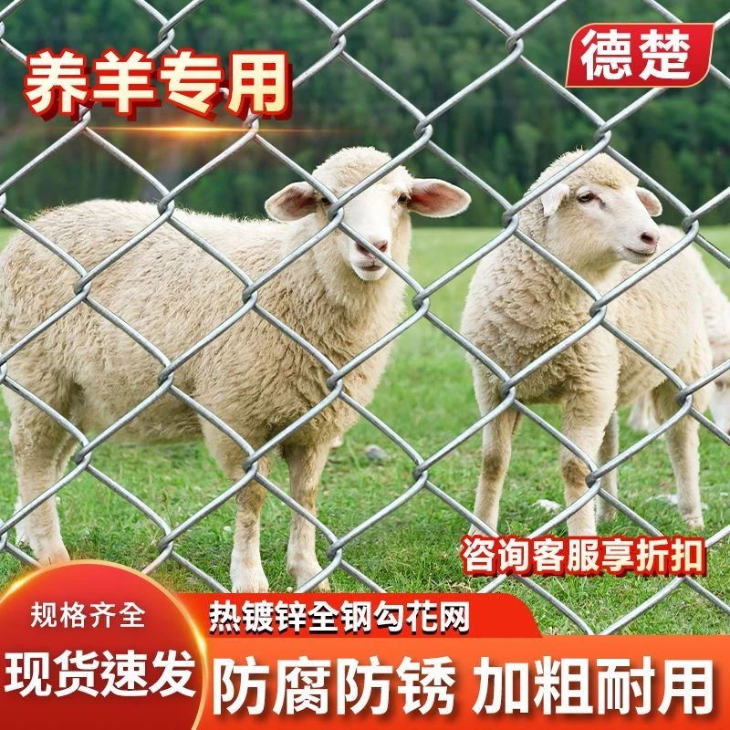 热镀锌户外防锈铁丝网围栏网养鸡狗牛羊养殖网勾花网钢丝网防护网