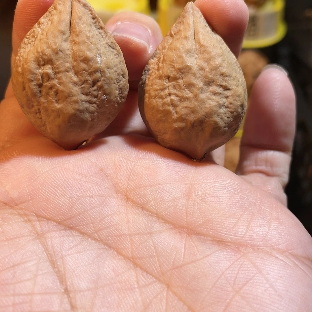 文玩核桃吊坠血滴子