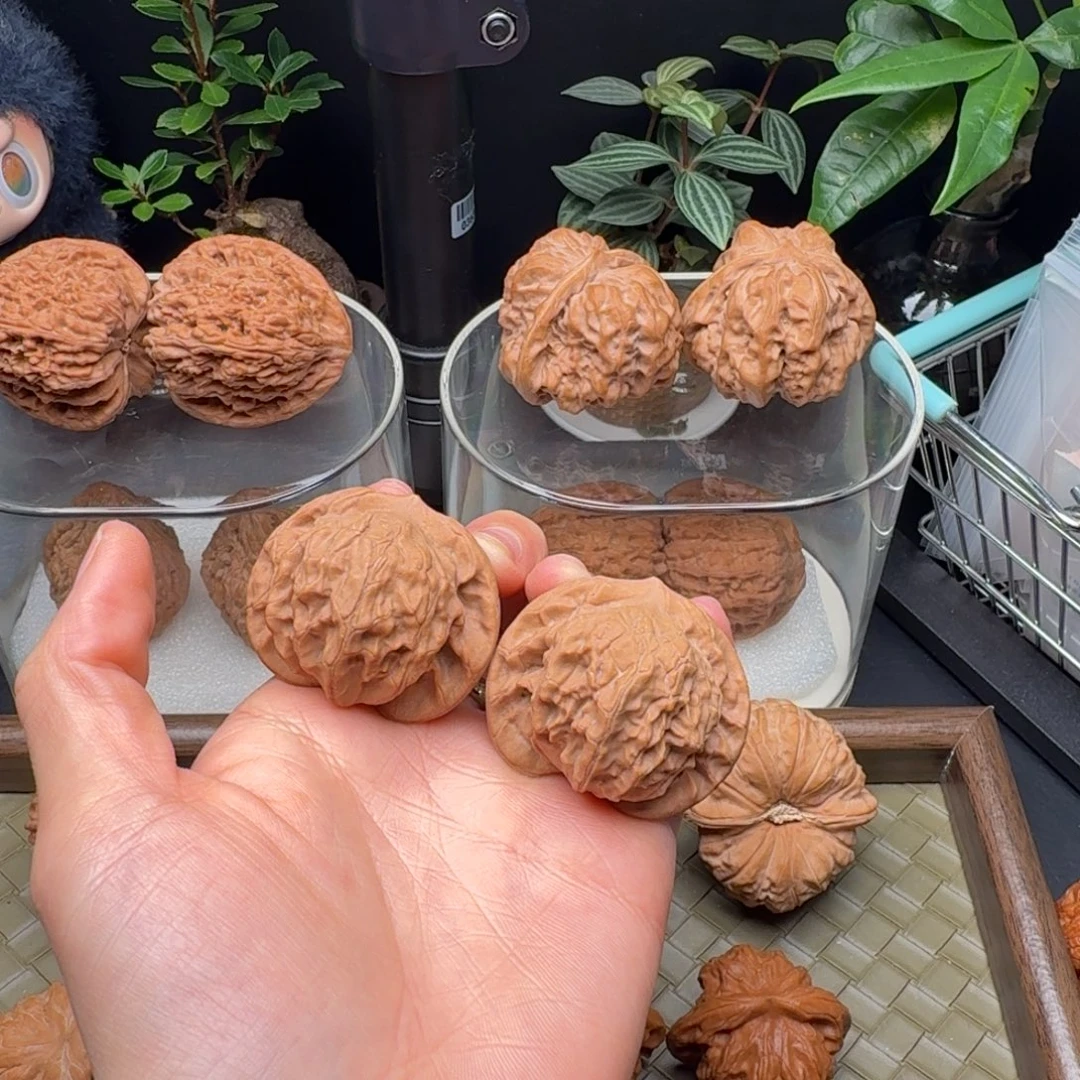 吊坠龙脊菩提全品42图图