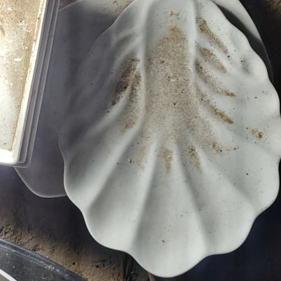 瓷白菜盘长30，国营四厂库存