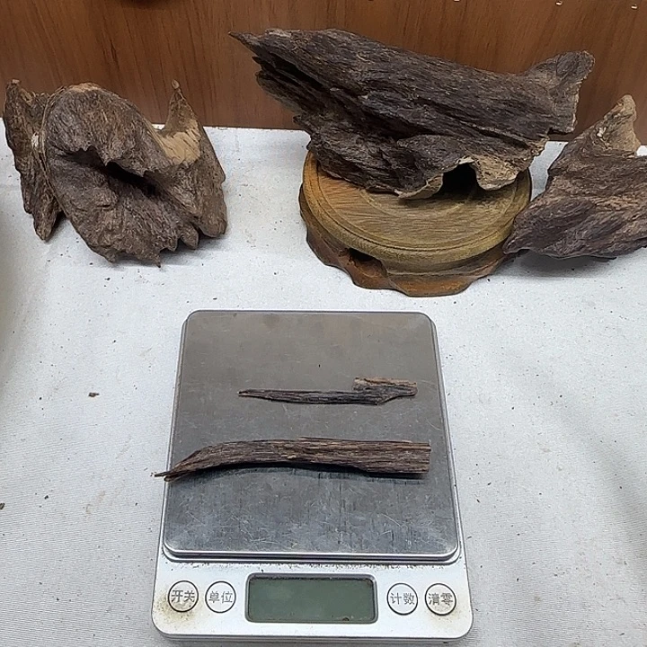 沉香碎屑沉香树心