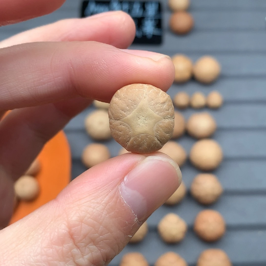 吊坠凤眼菩提18+五星，非质量问题开孔不退