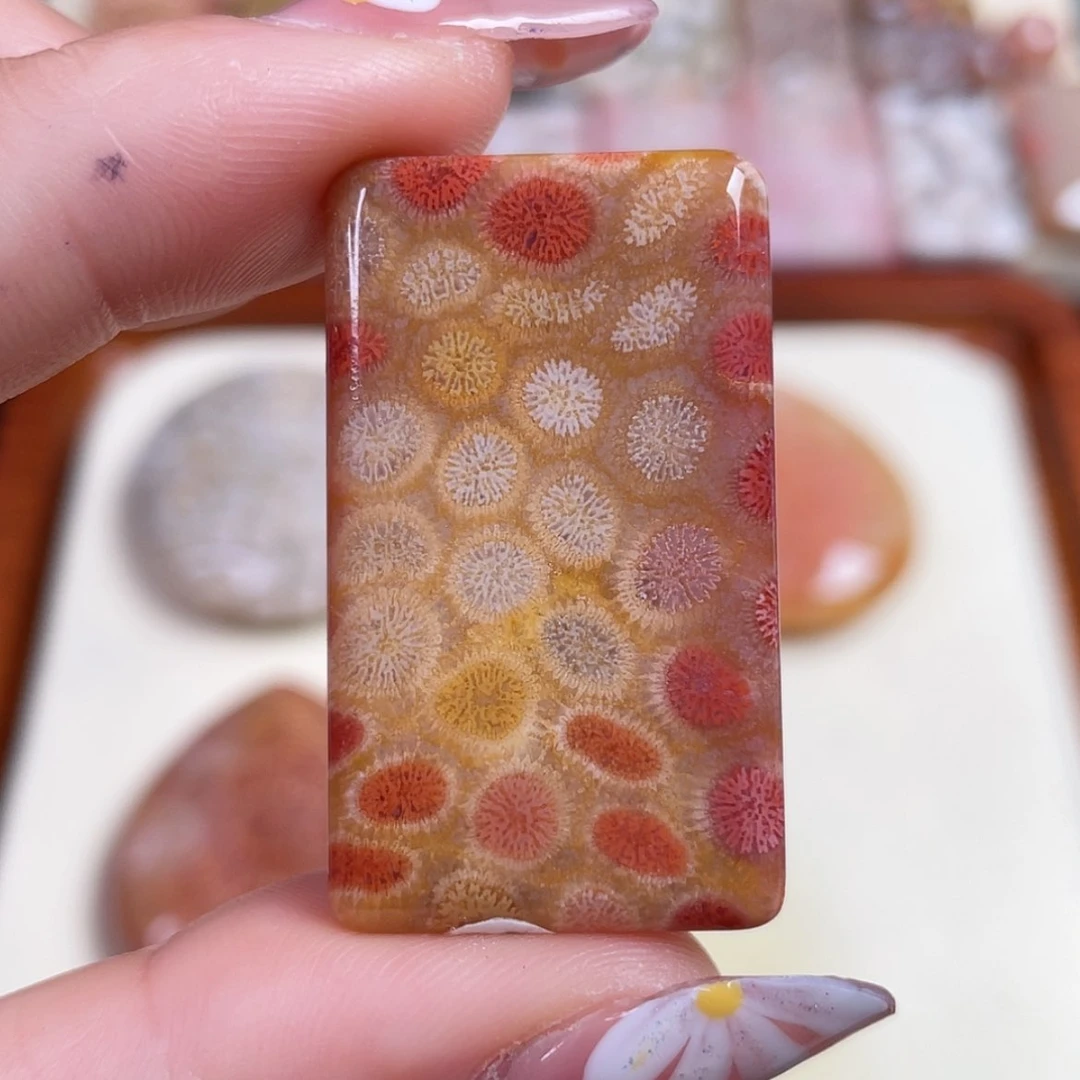 【闪购商品】硅化玉吊坠(赠链)未镶嵌