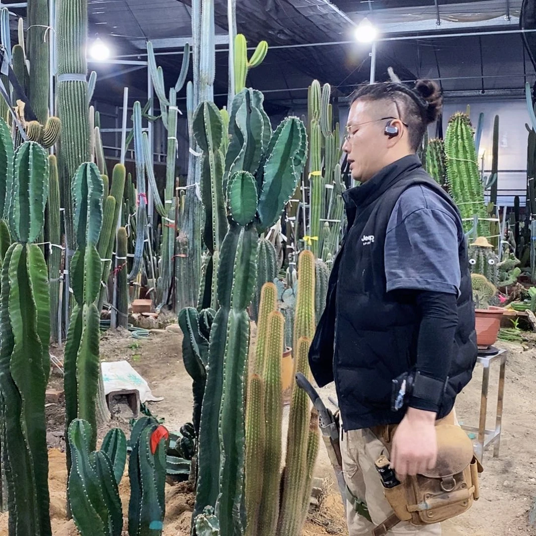 65号拍品。