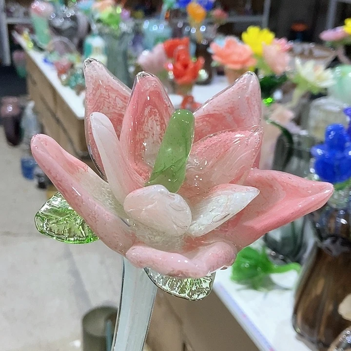 琉璃琉璃花高45口9