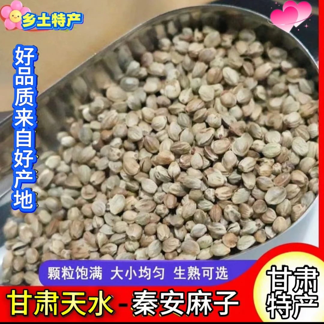 大颗粒天水麻子，原味烘炒500g/袋解馋办公室零食休