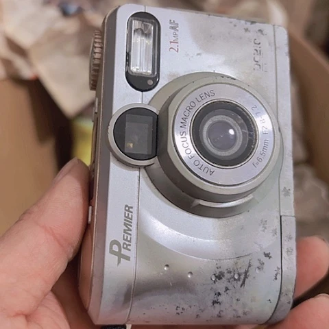 香榧木雨*藤Fhgghghvhbvvv