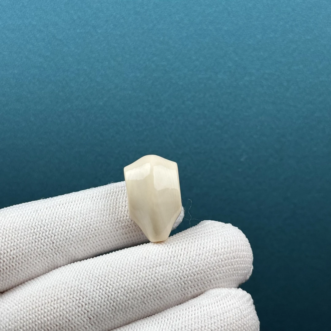 D85-23天然猛犸牙 鲨鱼背三通 14*22.4*14.4mm支持复检假一罚十