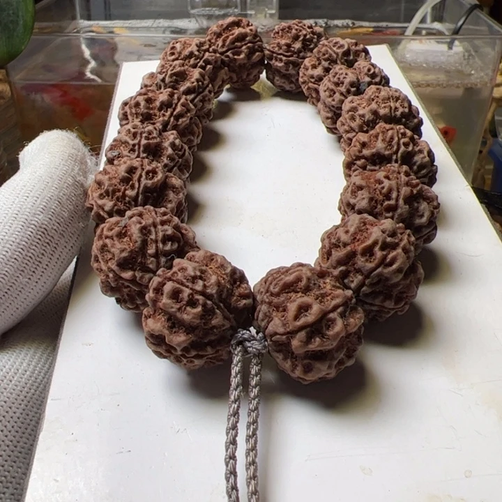 手串金刚菩提23➕平头大梅花