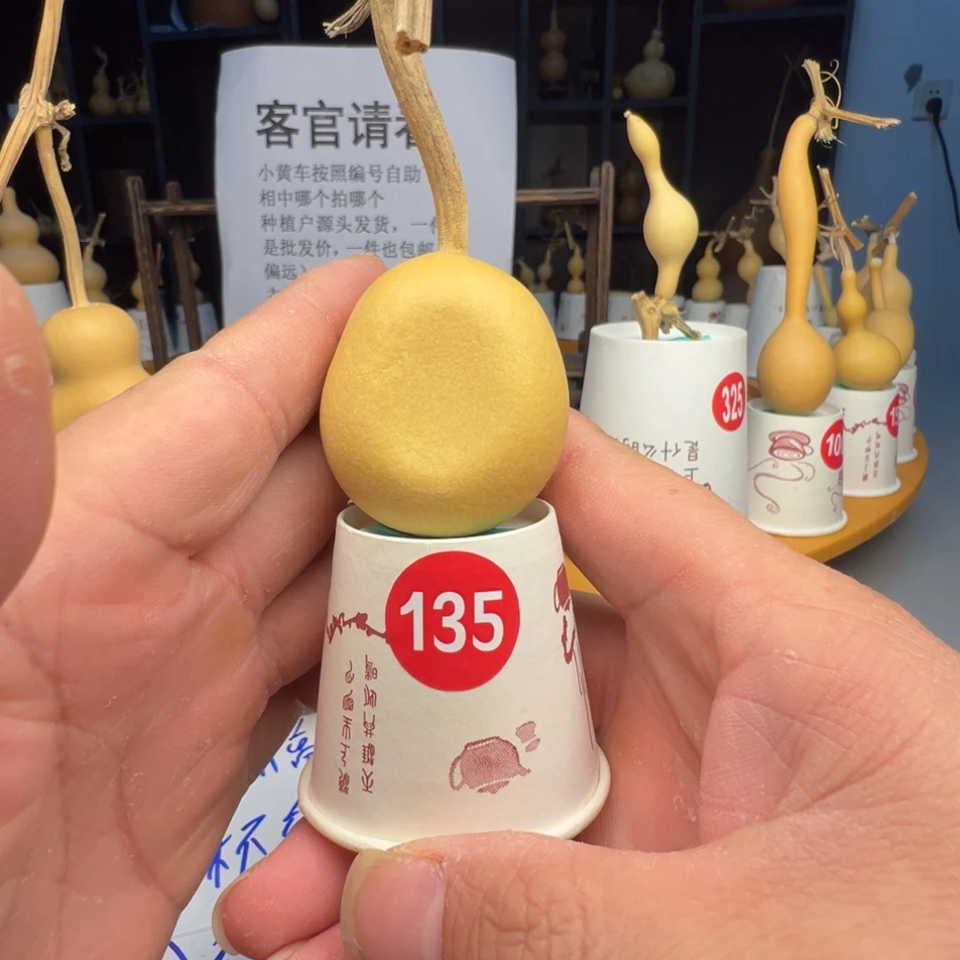 闪电购自助 下单编号135